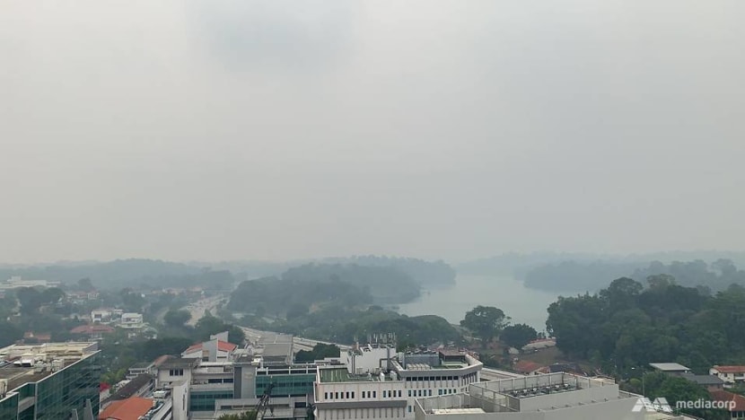 Haze Hits Unhealthy Levels In Singapore As Psi Exceeds 100 For The First Time In 3 Years Cna