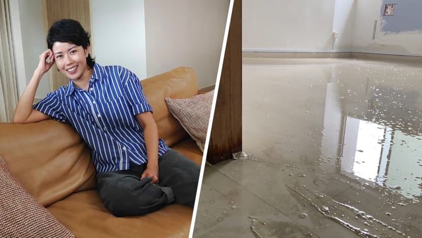 ‘Ponding’ Reno Nightmare: Kin Actress Adlina Adil’s Serangoon 4-Room Flat Was Flooded When Contractor Didn’t Turn Off Water Pipe Properly