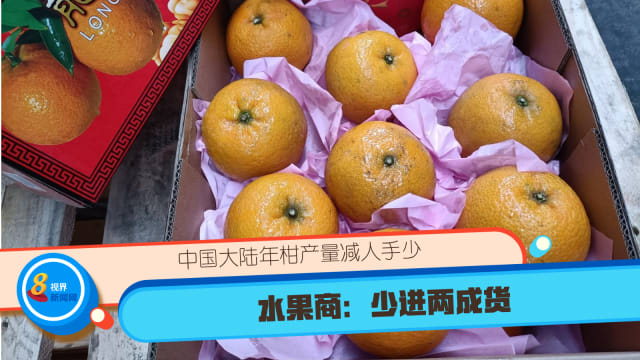 中国大陆年柑产量减人手少  水果商：少进两成货