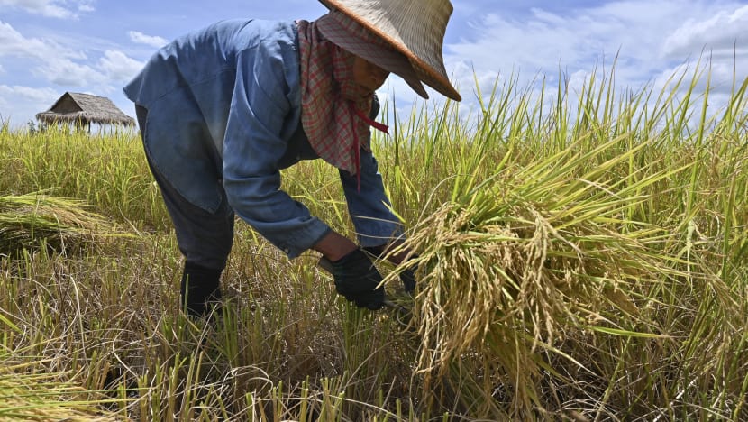 Thailand, Vietnam kerjasama naikkan harga beras dalam pasaran global