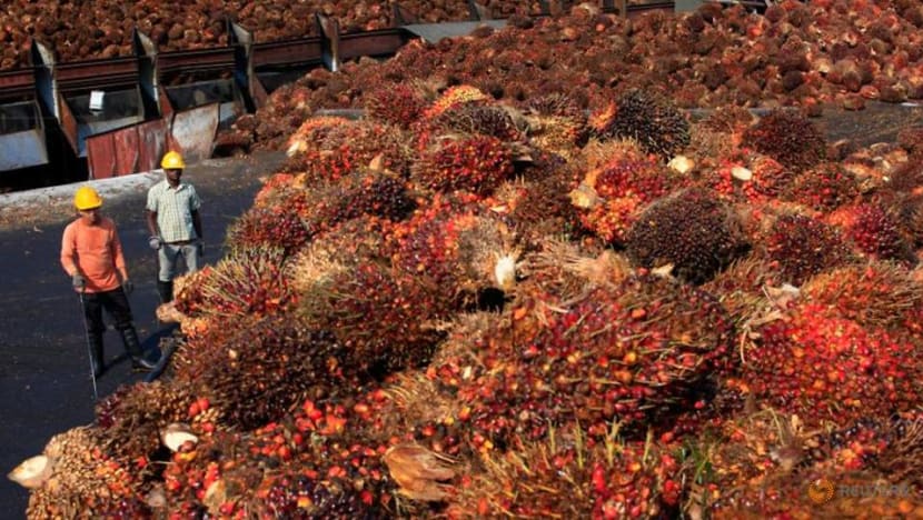 Palm oil prices rise in India even after import duty cut