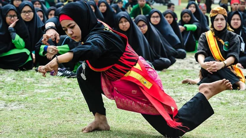 Silat martial art receives UNESCO heritage status Silat martial art receives UNESCO heritage status