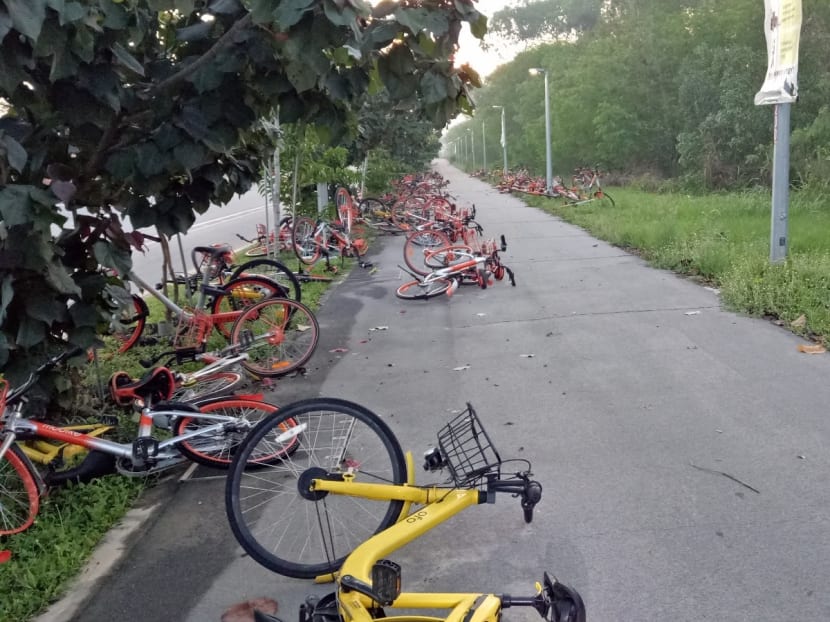 Shared bicycles near Changi Coast Walk blocking pathway.