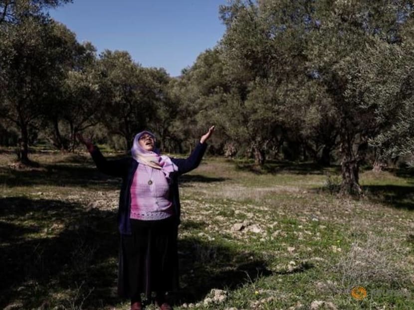 Turkish olive farmer battles to save her land from coal mine Turkish olive farmer battles to save her land from coal mine
