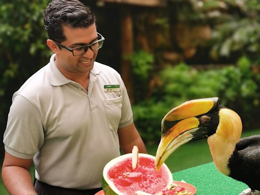 Cheep thrills await. Cheep thrills await.