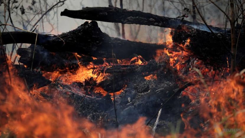 UK pledges £10 million for fire-ravaged Amazon