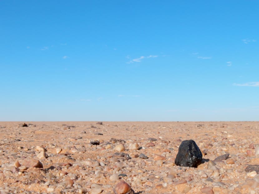 Fragments of the 2008 TC3, or Almahata Sitta, meteorite that fell to Earth in 2008. The diamonds discovered inside one of the fragment may have come from a protoplanet that orbited the sun billions of years ago.
