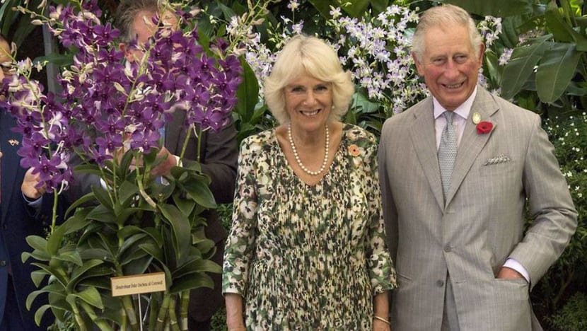 Commentary: Prince Charles’ orchid and the art of diplomatic gift-giving