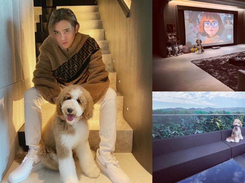 Show Luo’s Living Room Is So Big, Netizens Say It Looks More Like A Movie Theatre