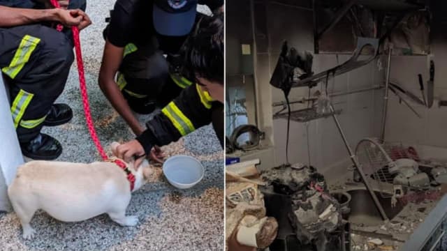 盛港公寓厨房失火 十人被疏散一狗获救