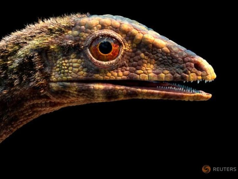 Scientists clarify origins of pterosaurs, the dinosaur era's flying reptiles Scientists clarify origins of pterosaurs, the dinosaur era's flying reptiles
