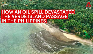 How a tanker oil spill devastated the Verde Island Passage in the Philippines | Video