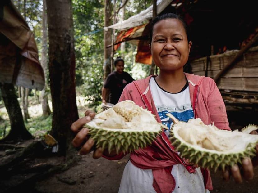 Not just kampung durian: Varieties grown by Selangor's indigenous communities enter the fray