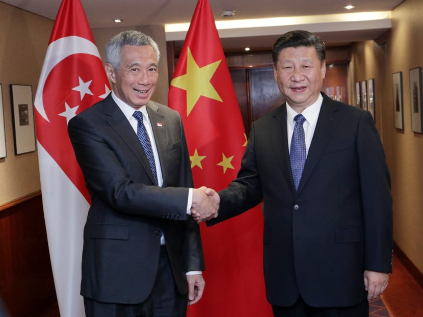 Prime Minister Lee Hsien Loong and President Xi Jinping meet in Hamburg. Photo: MCI