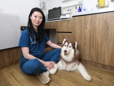 Dr Rachel Tong is the co-founder of Pawlyclinic, a digital veterinarian platform