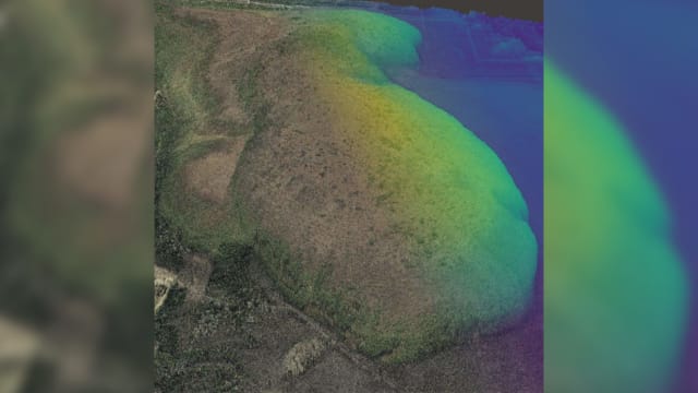 本地研究人员研发新方法 可准确测量沼泽内碳含量