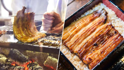 There’s A New Japanese Live Eel Specialist In Town — Is It Good?