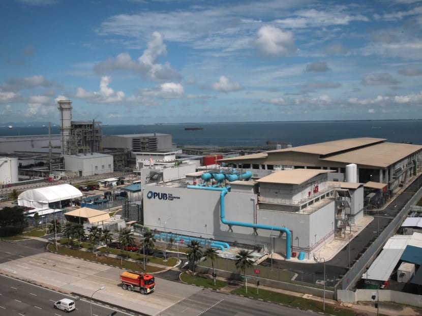 The Tuas Desalination Plant is the Republic's third and has a capacity of 30 million gallons per day.