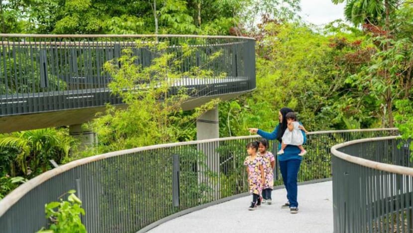 Jambatan pejalan kaki baru sepanjang 200m dibuka di Kebun Bunga Singapura 