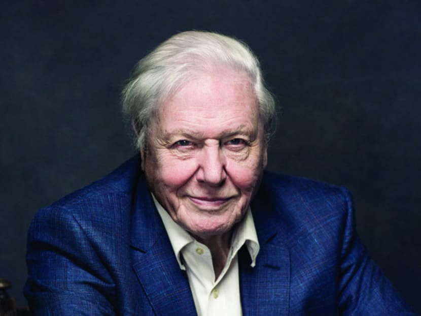 Why David Attenborough, at 90, is the sexiest man on earth