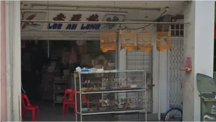 Gara-gara sangkar burung 'sangat kotor', pemilik kedai burung 81 tahun didenda S$2,000