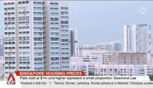 Property market stabilising despite quarterly variation: Desmond Lee