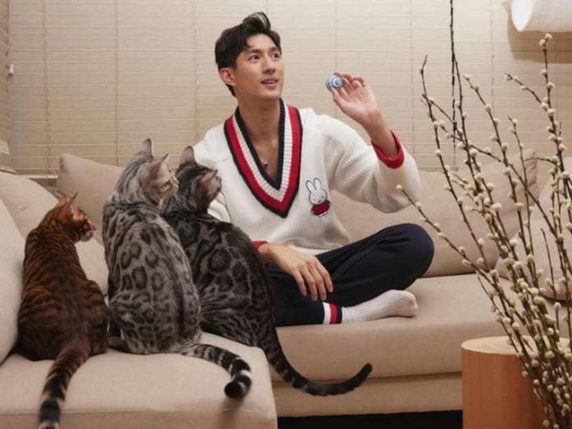 Actor Ayden Sng thought his house was haunted because his cats kept meowing at the ceiling