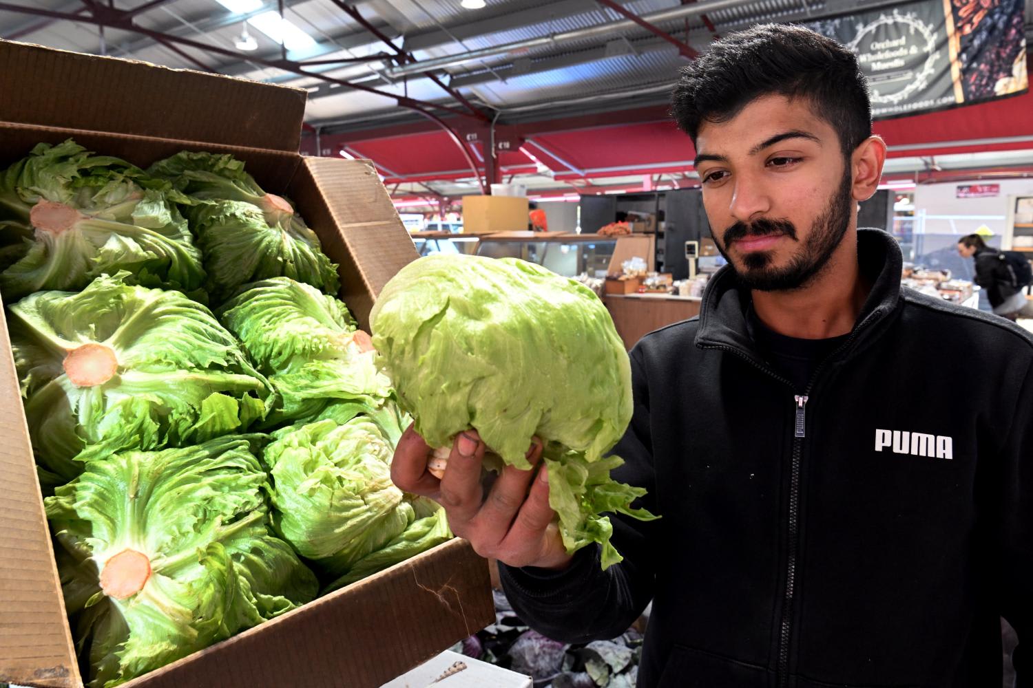 Mr Syed Hyder from a stall at Melbourne's Queen Victoria Market holds an iceberg lettuce on June 7, 2022, with the local price soaring by as much as 300 per cent in recent months. Mr Syed Hyder from a stall at Melbourne's Queen Victoria Market holds an iceberg lettuce on June 7, 2022, with the local price soaring by as much as 300 per cent in recent months.