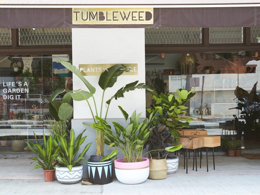 Don’t worry if you don’t have a green thumb. Don’t worry if you don’t have a green thumb.