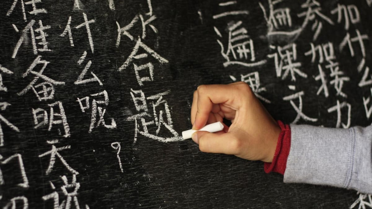 Mandarin learning boom as China extends its soft power in Middle East