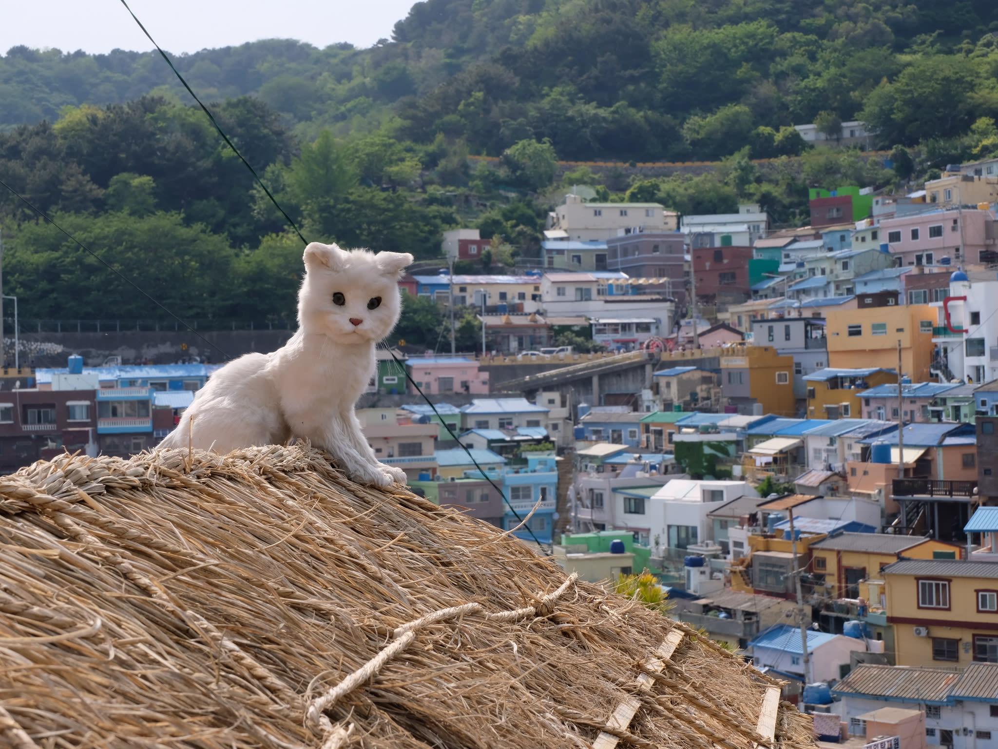 The Best Things To Do In Busan, Now That There’s A Direct Flight From Singapore The Best Things To Do In Busan, Now That There’s A Direct Flight From Singapore
