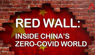 Red Wall: Inside China’s zero-COVID world