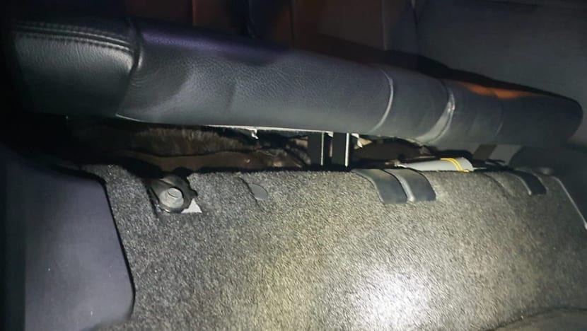 Man jailed for trying to smuggle 6 puppies and a bird under car seat, causing them ‘unnecessary suffering’ Man jailed for trying to smuggle 6 puppies and a bird under car seat, causing them ‘unnecessary suffering’