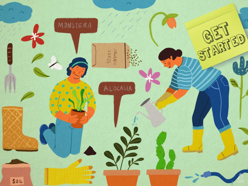 Get Started: A beginner’s guide to having a mini garden at home Get Started: A beginner’s guide to having a mini garden at home