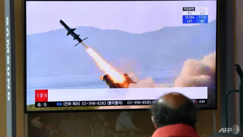 North Korea has 'probably' developed nuclear devices to fit ballistic missiles: UN report North Korea has 'probably' developed nuclear devices to fit ballistic missiles: UN report
