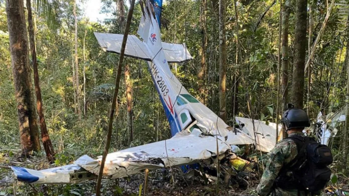 哥伦比亚四名儿童坠机失踪40天后奇迹生还