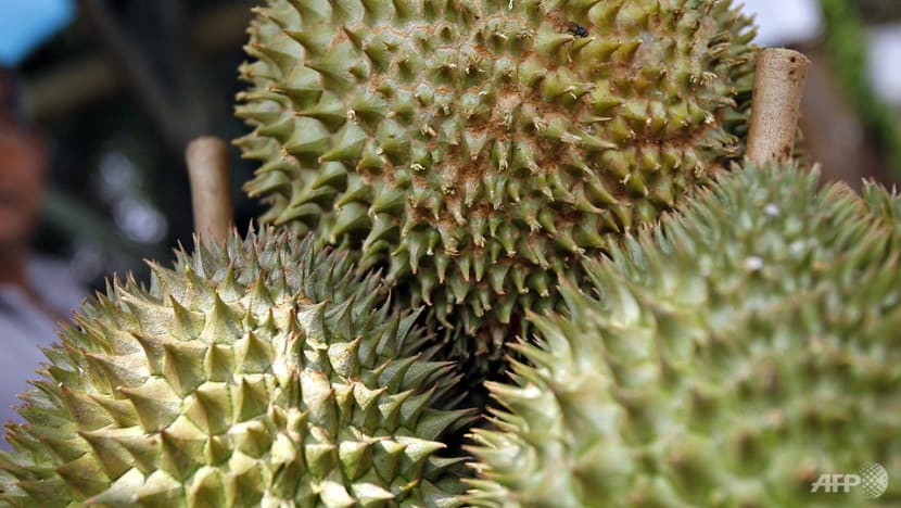 durian 3585628