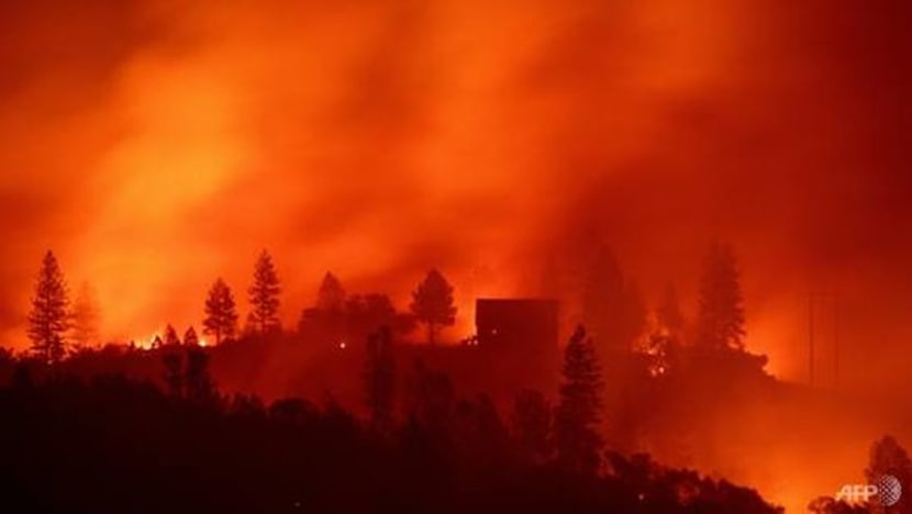 Angka korban kebakaran California cecah 83 orang