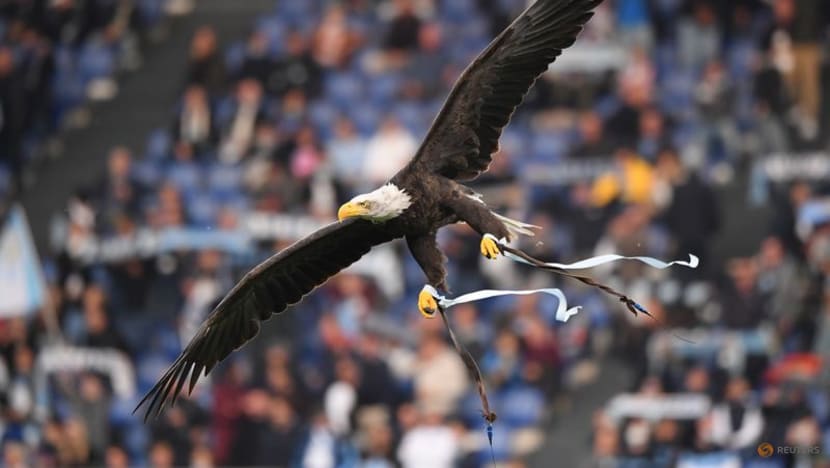 Lazio suspend falconer for cheering Mussolini at the stadium Lazio suspend falconer for cheering Mussolini at the stadium