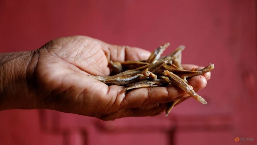 Last handful of fish: Crisis pushes more Sri Lankans into poverty Last handful of fish: Crisis pushes more Sri Lankans into poverty