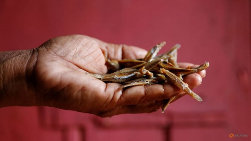 Last handful of fish: Crisis pushes more Sri Lankans into poverty