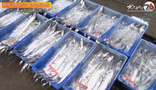 Japan Hour - Gaia Series 10: Makeover! Izakaya Become A Fish Professional