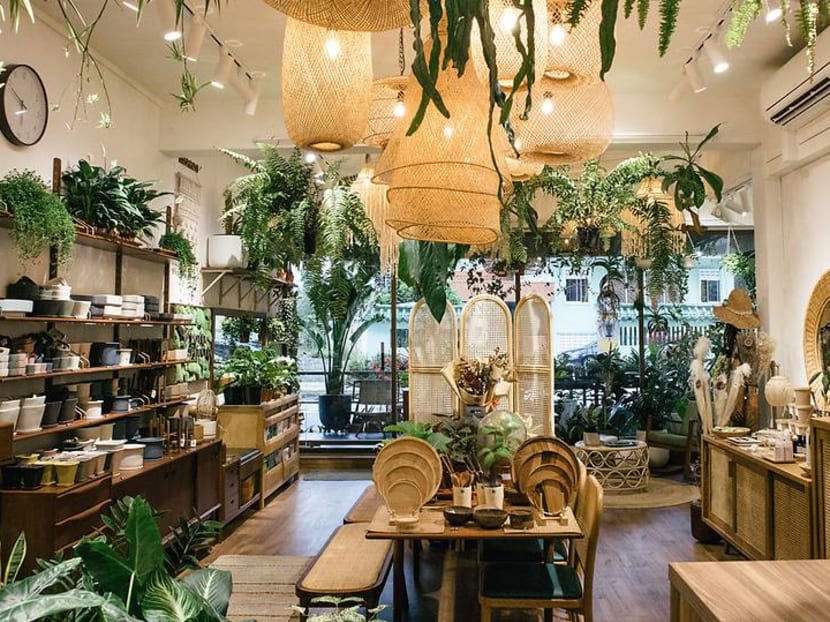 Singapore is becoming a nation of urban gardeners – but is it all that sustainable? Singapore is becoming a nation of urban gardeners – but is it all that sustainable?