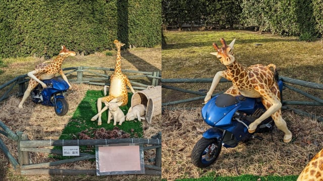日本公园里有长颈鹿？拟人雕像是可爱还是诡异？