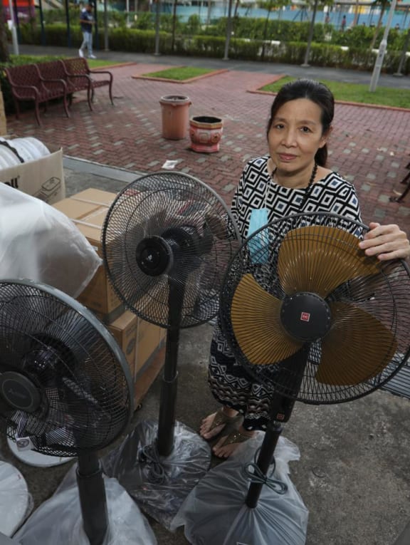 Ms Catherine Low from Etronin Home Appliances showing a few models of fans sold at her shop.