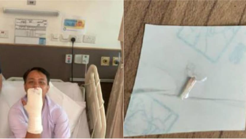 'No malice or cruelty': Pest control company Anticimex rejects claims of mishandling snake at Tang Plaza 'No malice or cruelty': Pest control company Anticimex rejects claims of mishandling snake at Tang Plaza