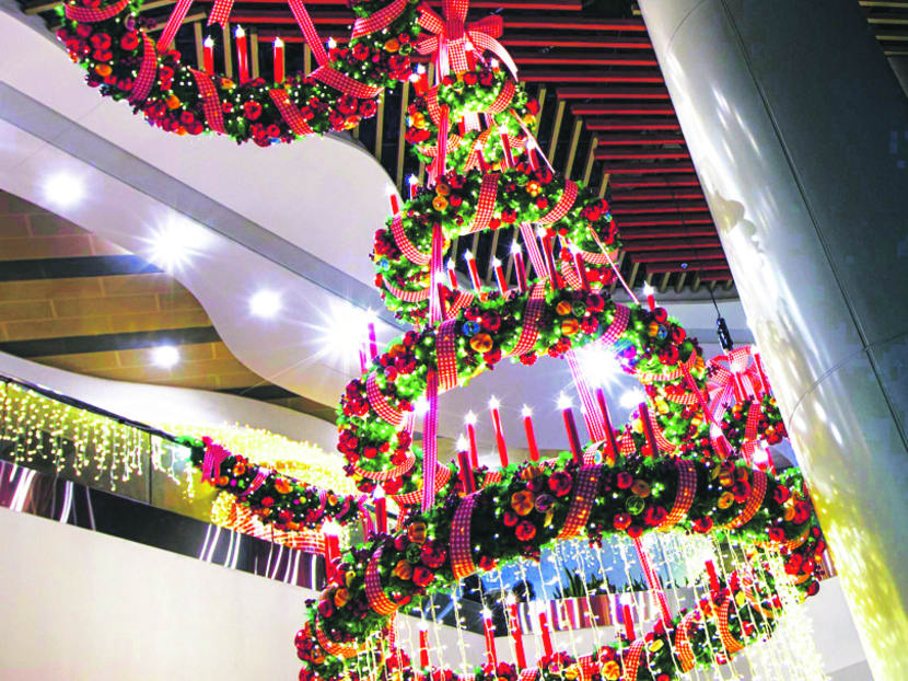 Gallery: Trees company: Where to get your X’mas tree fix