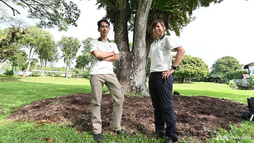 Listening to trees to care for them better: The work of an NParks arborist Listening to trees to care for them better: The work of an NParks arborist