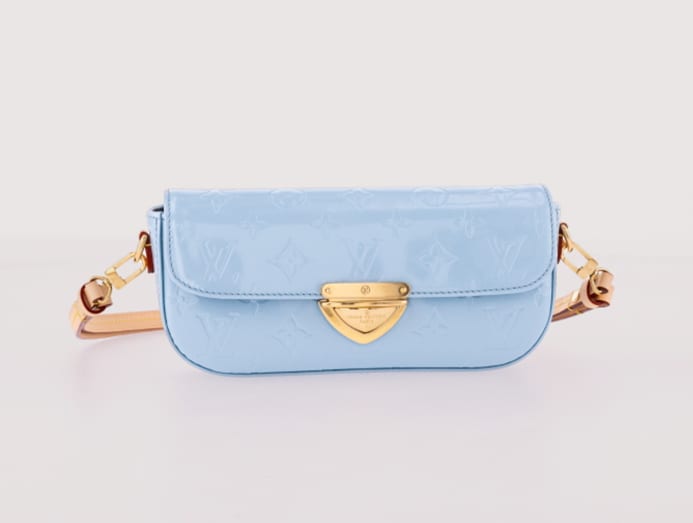 Louis vuitton malibu best sale backpack