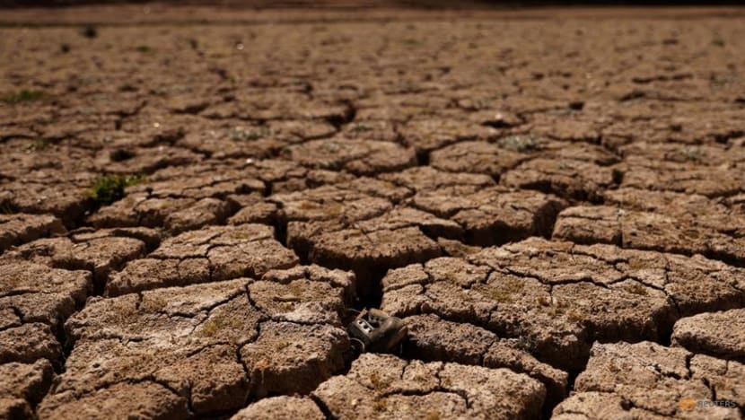 UN warns 'vampiric overconsumption' is draining world's water UN warns 'vampiric overconsumption' is draining world's water
